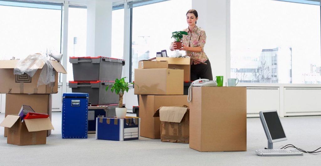 Moving and Packing Services