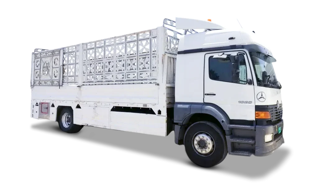 10 Ton Pickup for Rent in Dubai